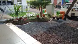 Pembuatan taman kering minim perawatan
