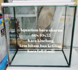 Aquarium Baru Murmer