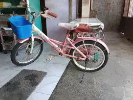 Sepeda anak wimcycle 18.