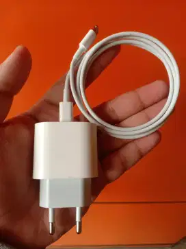 charger iphone 20 watt