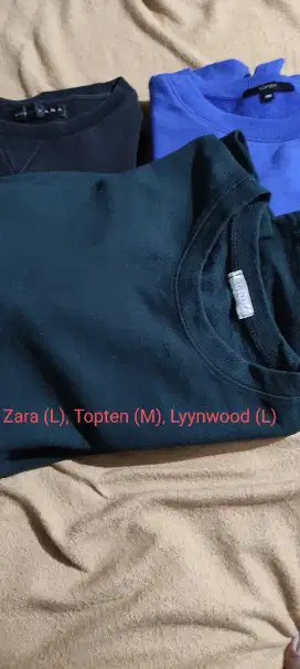 Sweatshirt, Sweater, Crewneck Zara, Topten