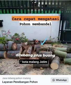 tebang pohon plus pembersihan