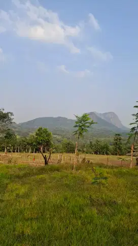 TANAH SUBUR VIEW GUNUNG