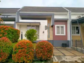 Rancamaya lt 84