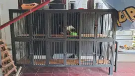 Kandang 2 tingkat 3 pintu