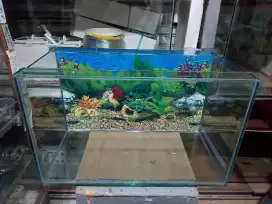 Aquarium ikan hias 50*25*30 baru