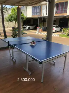 Tenis meja / meja pingpong DONIC 17mm