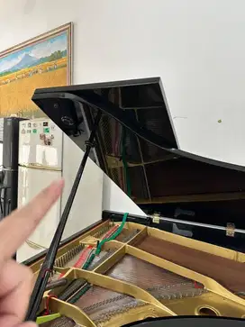 Yamaha grand piano Gold Plate