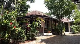 Jual Tanah  & Bangunan Rumah Asri  Jonggol Murah