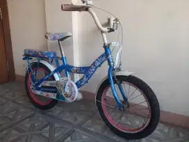 Sepeda Anak Wimcycle 16 Frozen