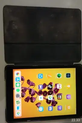 Ipad air 1 wifi only