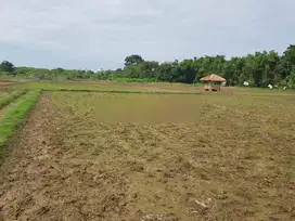 Kavling Komersial Karawang Barat sebrang Mal Transmart