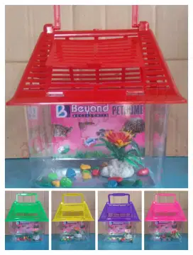 aquarium mini bentuk rumah