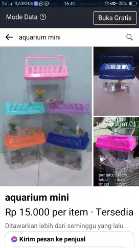 aquarium mini bentuk minimalis