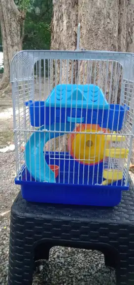 kandang hamster besar