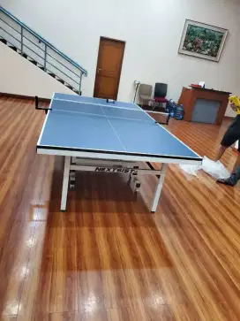 Tenis meja / meja pingpong 25mm MDF super DHS