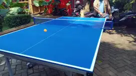 DISTRIBUTOR TENIS MEJA PINGPONG MDF TERMURAH SE-JABODETABEK COD