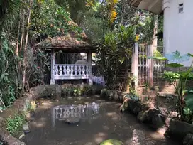 Termurah Jarang ada Rumah mewah tanah sangat Luas Taman besar