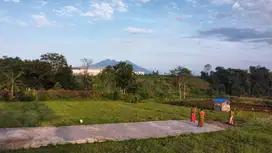 Tanah SHM Kawasan Wisata Puncak Bogor
