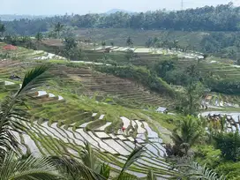 Tanah luas kecil view sawah terasering dan lembah di tabanan bali.