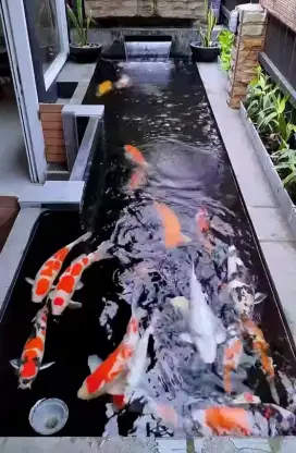 Kolam koi minimalis