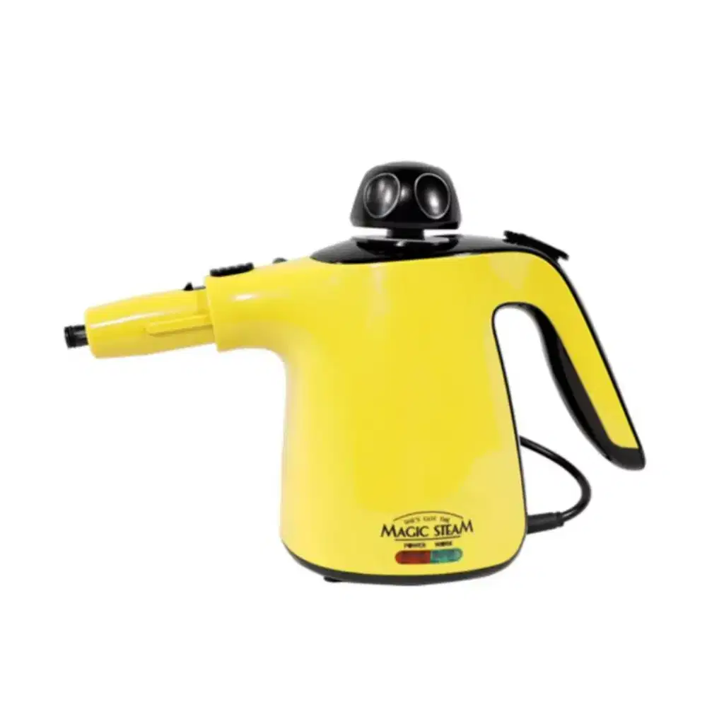 SHE'S GOT THE MAGIC STEAM