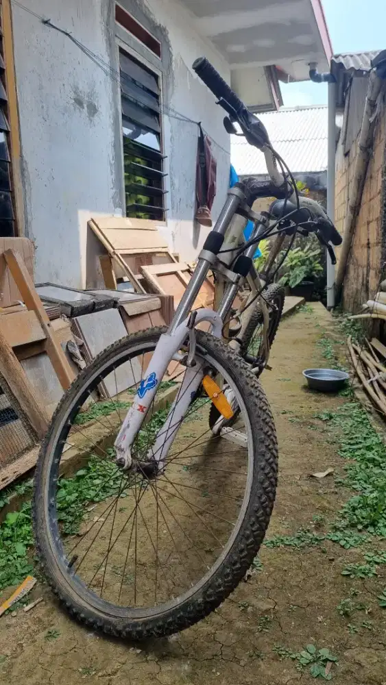 Jual sepeda bekas apa adanya ukuran 16 inci