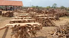 Konsul kayu jati alami berbagai ukuran