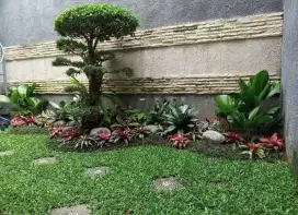Jasa pembuatan taman kering .Taman minimalis
