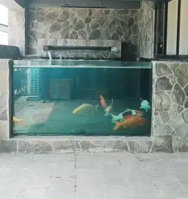 Kolam koi motif kaca