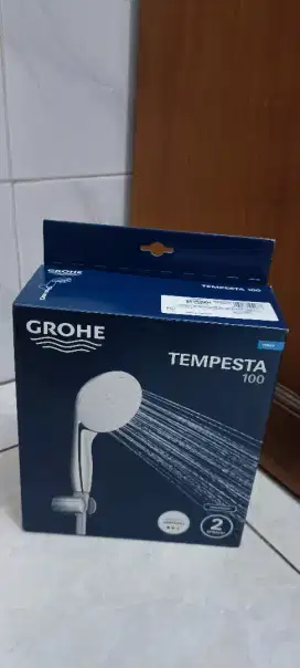 Grohe Tempesta 100 Shower