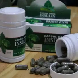 herbal kapsul insulin original