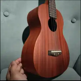 Ukulele ibanez ukc 10 original