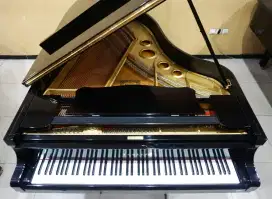 Grand Piano Yamaha G5 - Goldplate