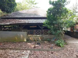 Tanah , Villa , Rumah cck u/ ternak n pabrik  500m dr Jl utama, bogor