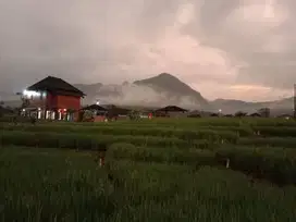 Jual Tanah SHM di Pinggir Jalan Bonus Aliran Sungai Kecilnya