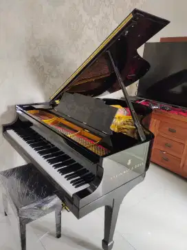 Grand Piano STEINWAY & SONS type M Build Up Hamburg
