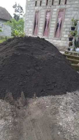 Pasir Lumajang Asli Murah