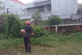 Jasa Potong Rumput Panggilan Murah