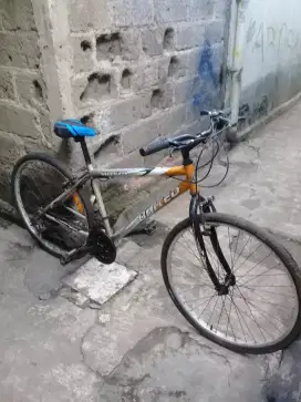 Mtb united monza 26