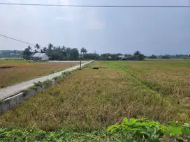 Tanah Strategis Eksotis Dekat Pantai