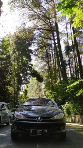Peugeot 206 2004 mt