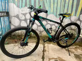 Sepeda Polygon Cascade 4 2022