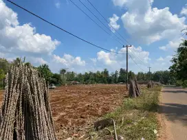 Tanah Luas Pinggir Jalan Lampung Timur