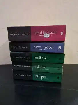 novel twilight series