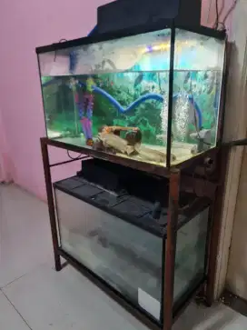 Borong 2 Aquarium ikan ukuran 60 x 40 komplit dengan rak