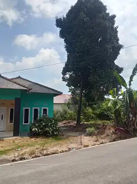 Tanah Sangat Strategis. Pinggir Jalan Aspal.