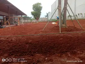 Tukang rumput gajah mini