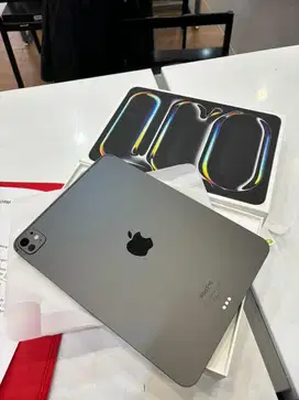 Ipad Pro 11inc m4 256gb wifi