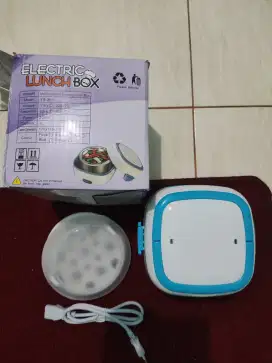 Mini Rice Cooker Electric